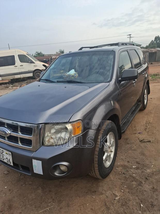 Ford Escape 2011 Gray
