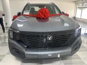 New Changan Hunter Plus 2.0 Petrol 4x4 2025 Gray for sale