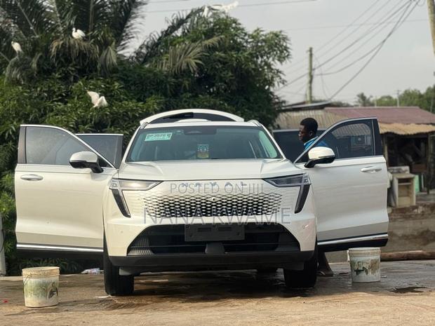 Haval Xiaolong Max 2025 White