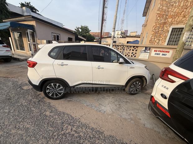 Hozon Neta V 2020 White