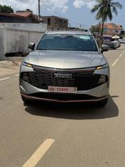 Haval Chitu 2024 Gray for sale