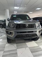 New Car 2025 Gray for sale