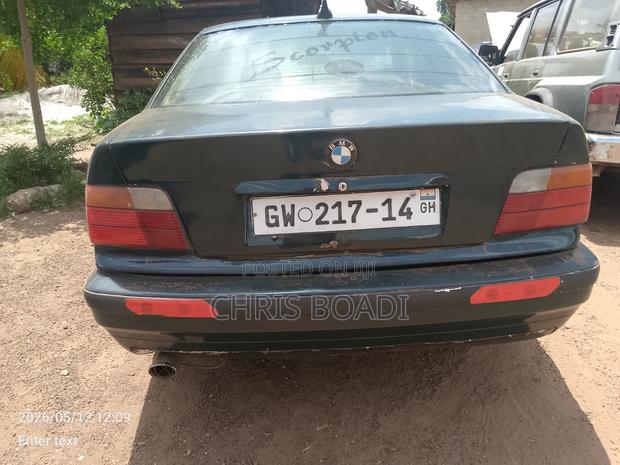 BMW 316i 2011 Green