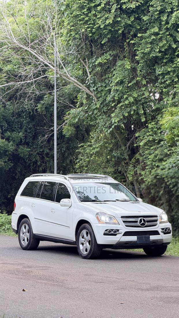 Mercedes-Benz GL-Class GL 450 2010 White