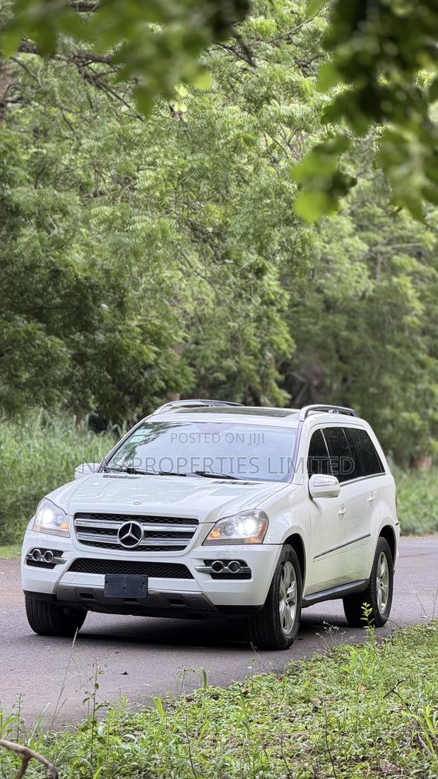 Mercedes-Benz GL-Class GL 450 2010 White