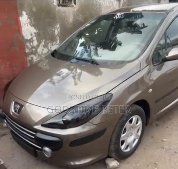 Peugeot 307 2007 Gray