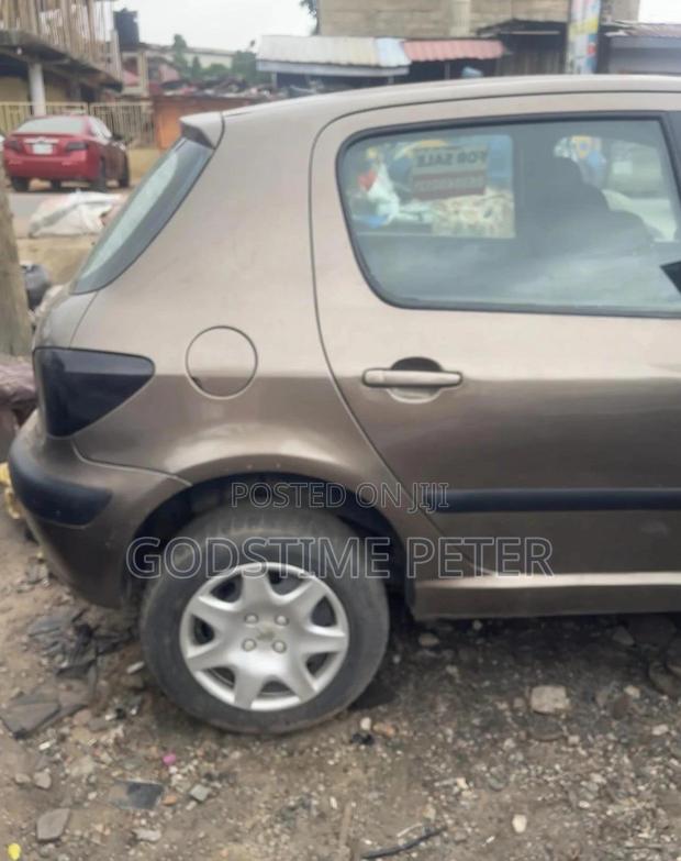 Peugeot 307 2007 Gray