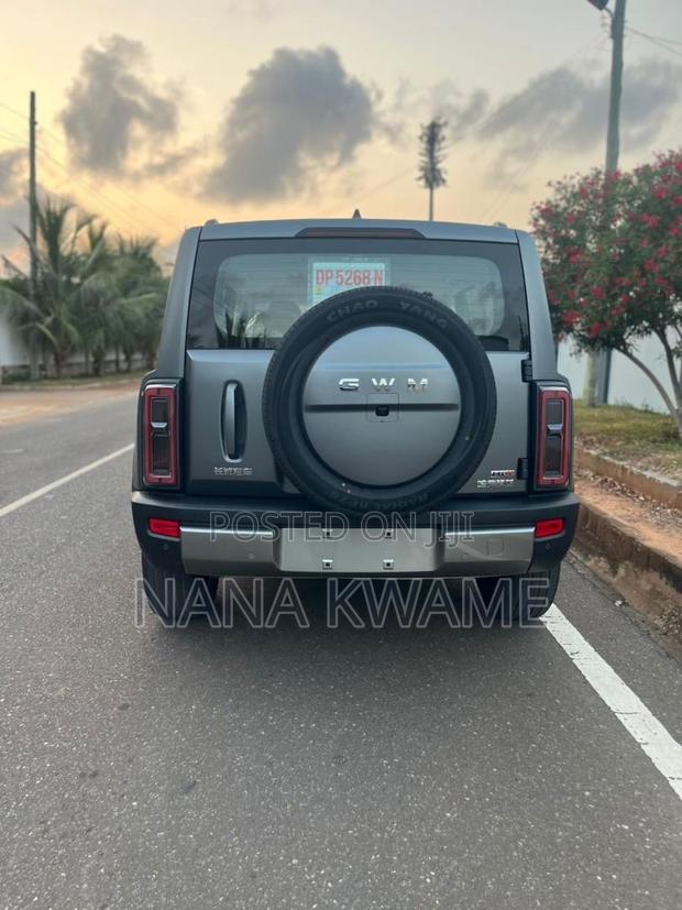 New Haval Menglong 2025 Gray