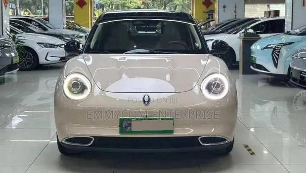 Hozon Neta V 2020 Brown