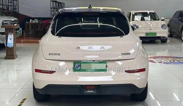 Hozon Neta V 2020 Brown