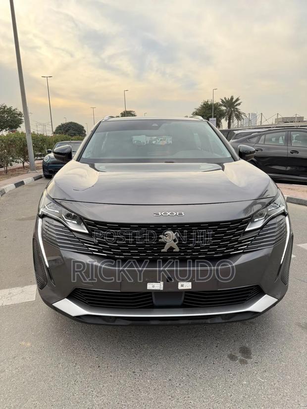 Peugeot 3008 2023 Gray
