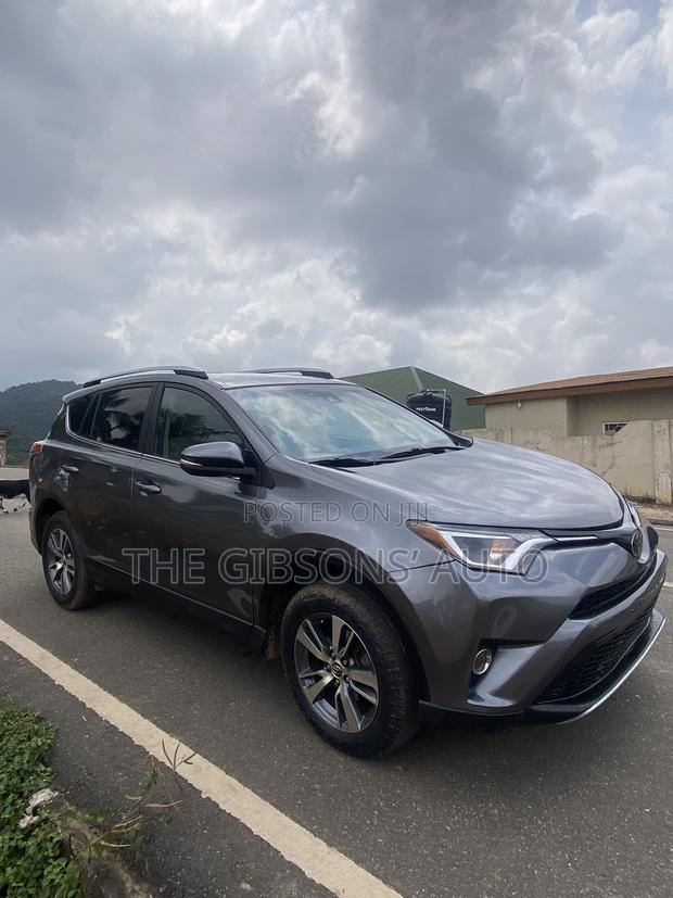 Toyota RAV4 XLE 4dr SUV AWD (2.5L 4cyl 6A) 2018 Gray