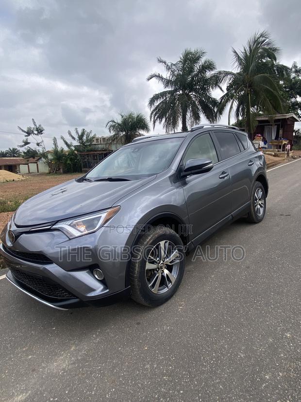 Toyota RAV4 XLE 4dr SUV AWD (2.5L 4cyl 6A) 2018 Gray