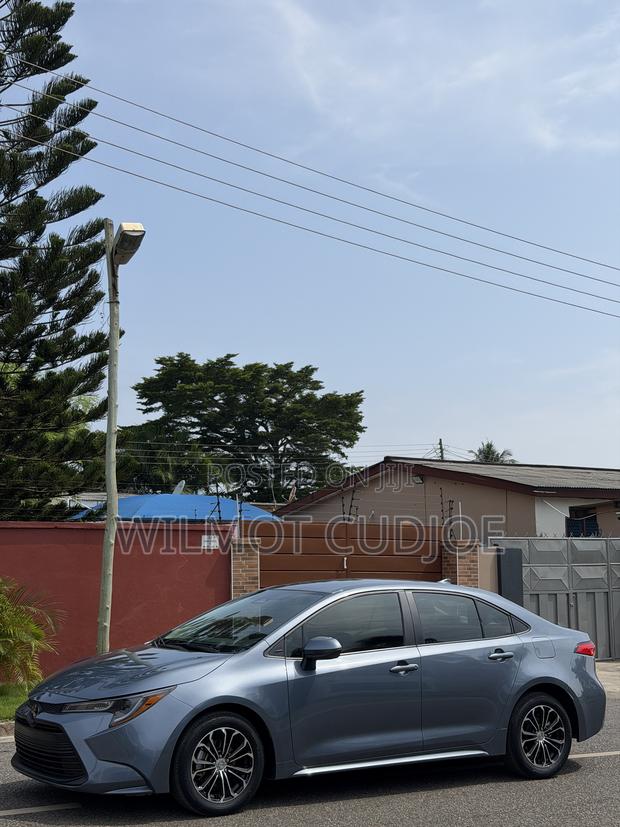 Toyota Corolla LE 2024 Gray