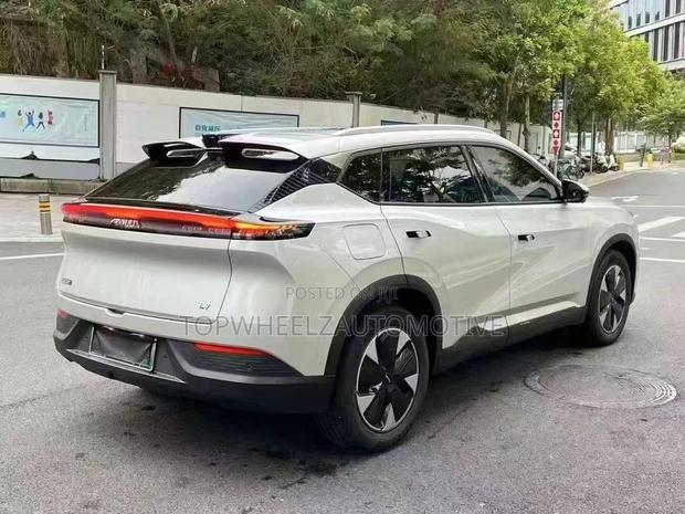 Dongfeng Rich 7 2024 Gray