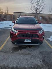 Toyota RAV4 Limited AWD 2019 Burgundy for sale