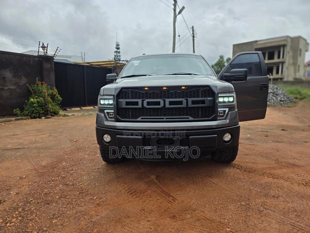 Ford F-150 2014 Silver