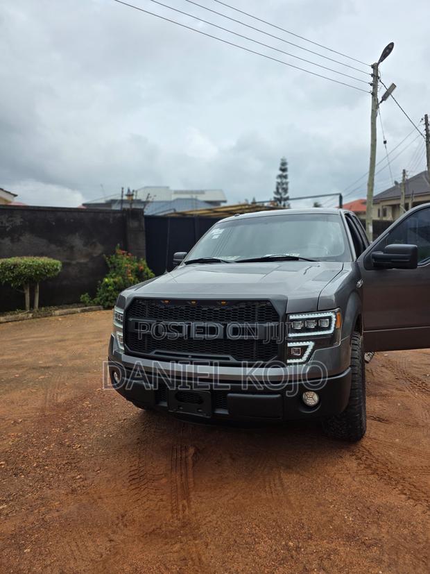 Ford F-150 2014 Silver