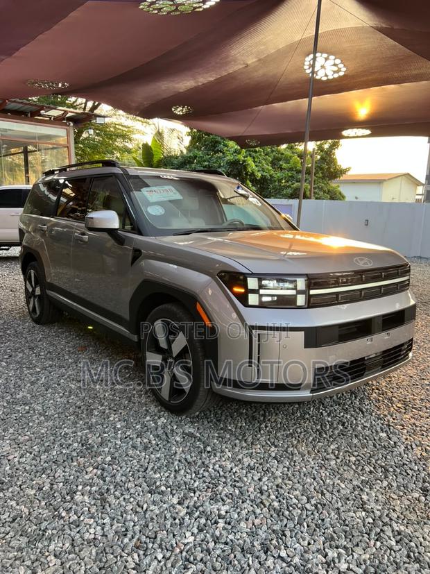 Hyundai Santa Fe 2024 Gray