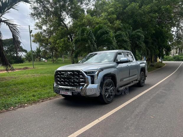 Toyota Tundra 2024 Gray