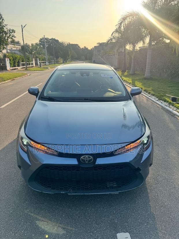 Toyota Corolla LE 2020 Gray