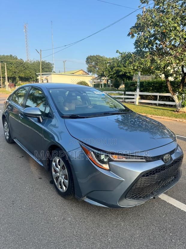 Toyota Corolla LE 2020 Gray