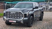 Toyota Tundra 2023 Gray for sale