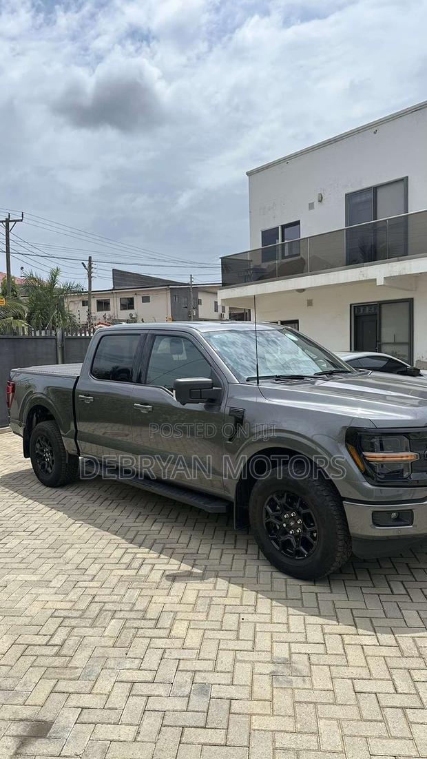 Ford F-150 XLT 2024 Gray