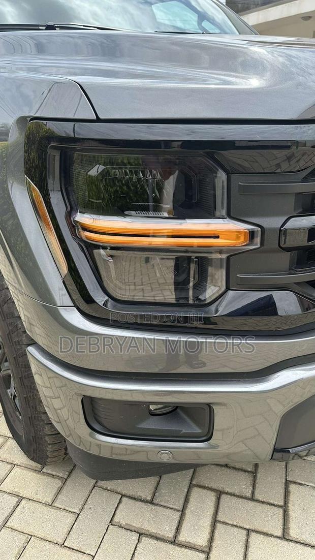 Ford F-150 XLT 2024 Gray
