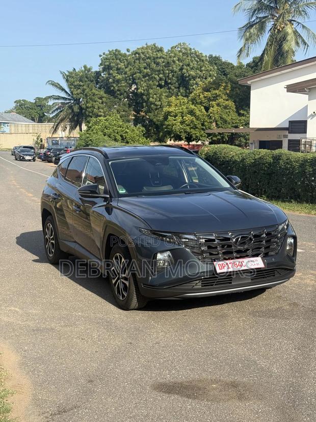 Hyundai Tucson Limited 2024 Gray