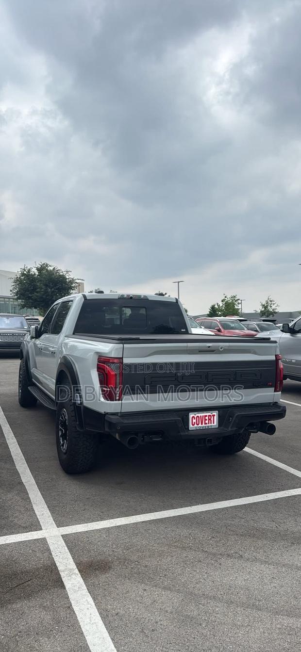 Ford F-150 Raptor 2024 Gray