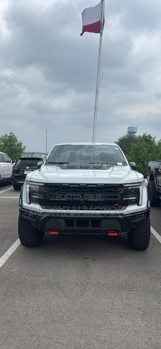 Ford F-150 Raptor 2024 Gray