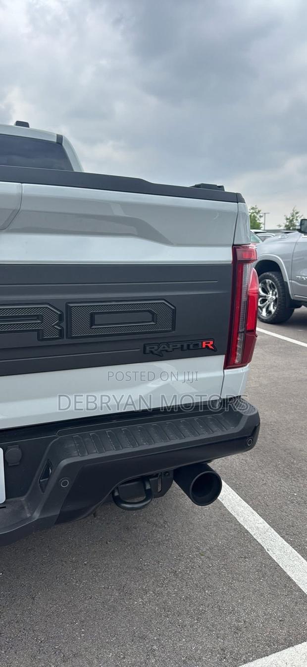 Ford F-150 Raptor 2024 Gray