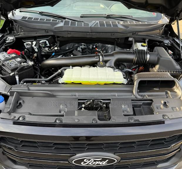 Ford F-150 2025 Gray
