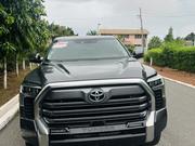 Toyota Tundra Limited Double Cab 6.5' Bed 2023 Gray for sale