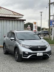 Honda CR-V EX-L AWD 2020 Gray for sale