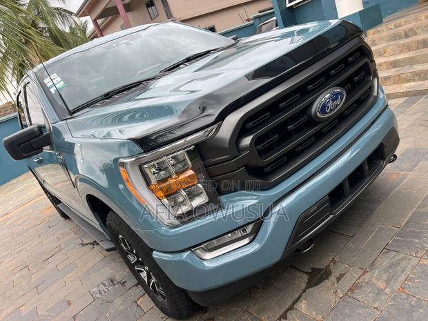 Ford F-150 Platinum 2021 Burgundy