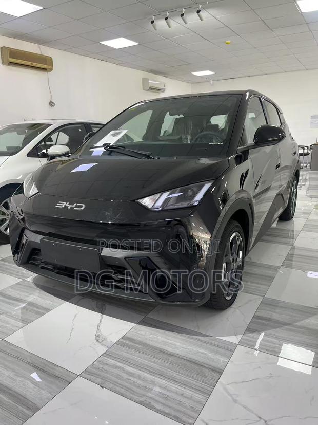New BYD Seagull 2024 Black