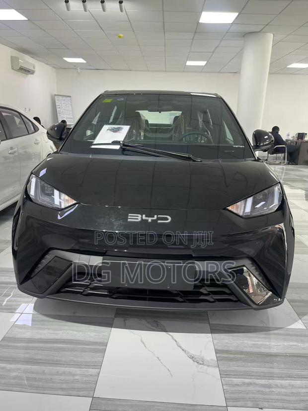 New BYD Seagull 2024 Black