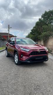 Toyota RAV4 LE AWD 2019 Burgundy for sale