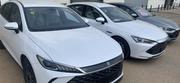 New BYD Qin Plus DM-i 2025 White for sale