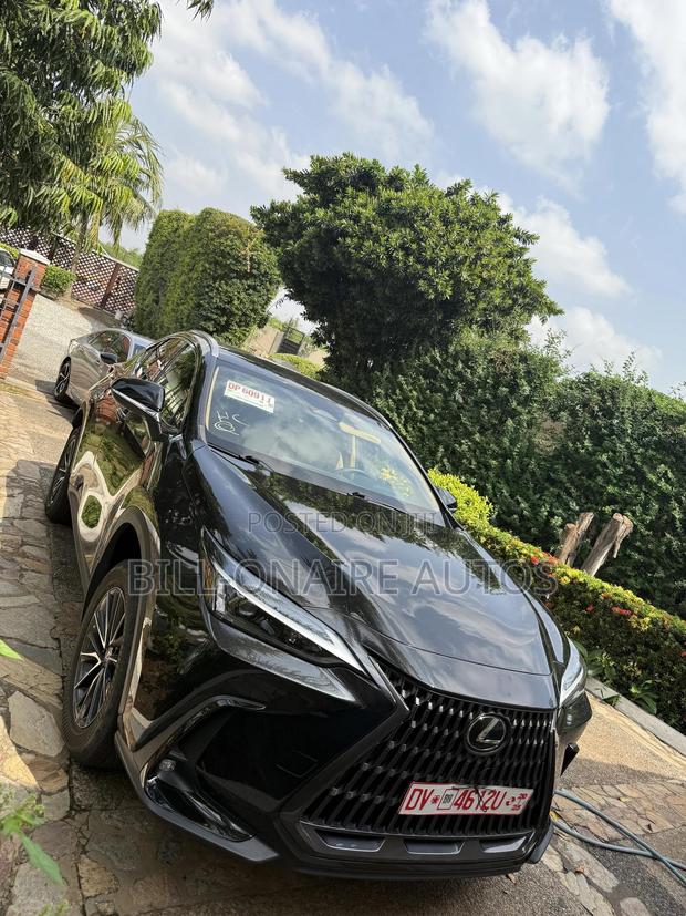 Lexus NX 2022 Black