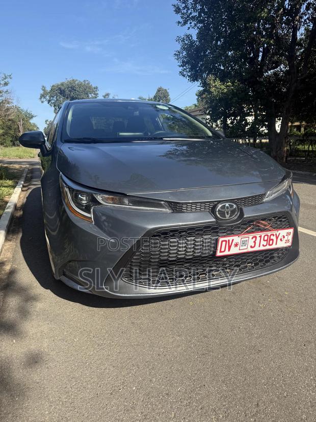 Toyota Corolla LE 2021 Gray