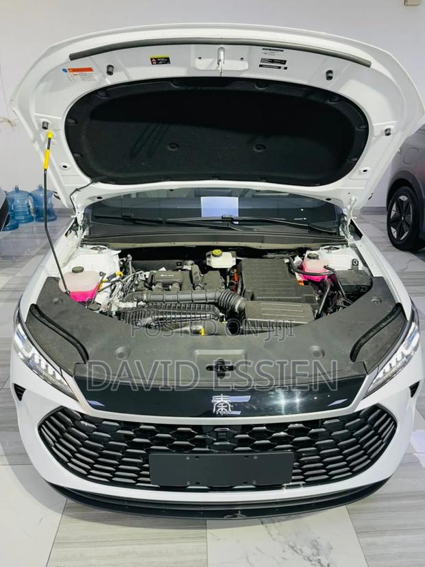 New BYD Qin Plus DM-i 2025 White
