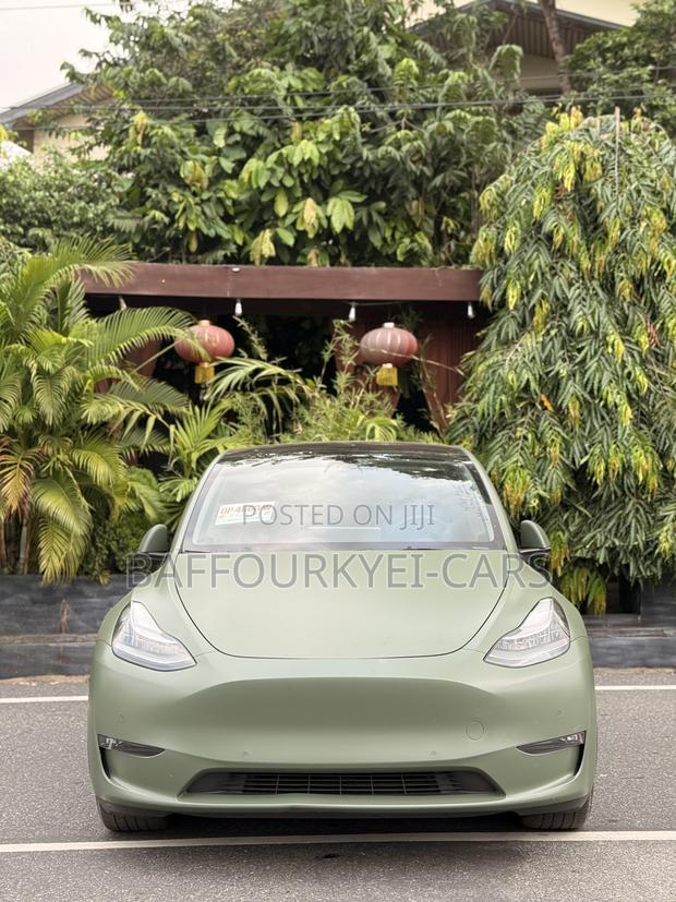 Tesla Model Y 75D kWh Long Range AWD 2022 Green