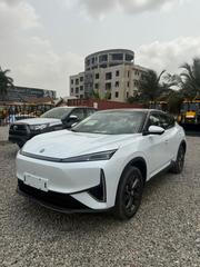 New Dongfeng Z9 2026 White for sale