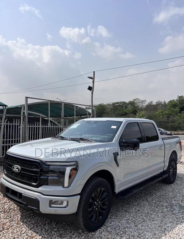 Ford F-150 LARIAT 2024 Gray