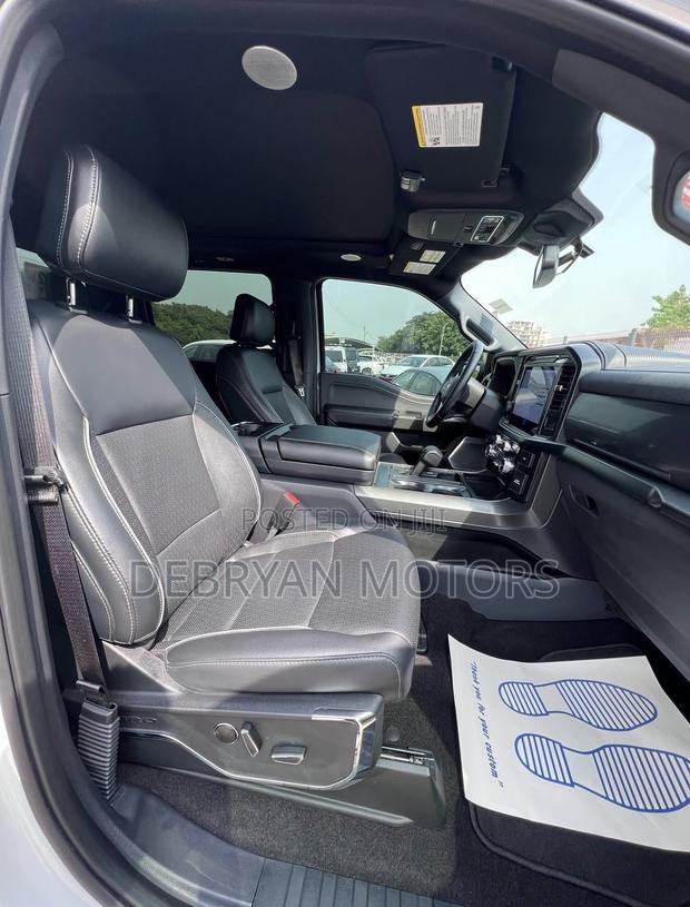 Ford F-150 LARIAT 2024 Gray