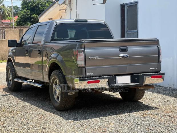 Ford F-150 2013 Gray