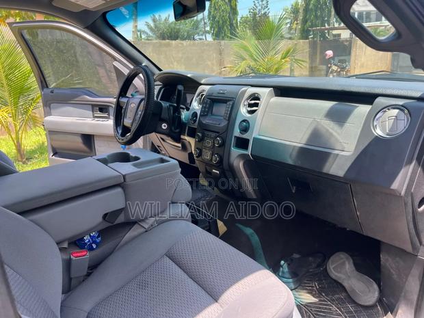 Ford F-150 2013 Gray